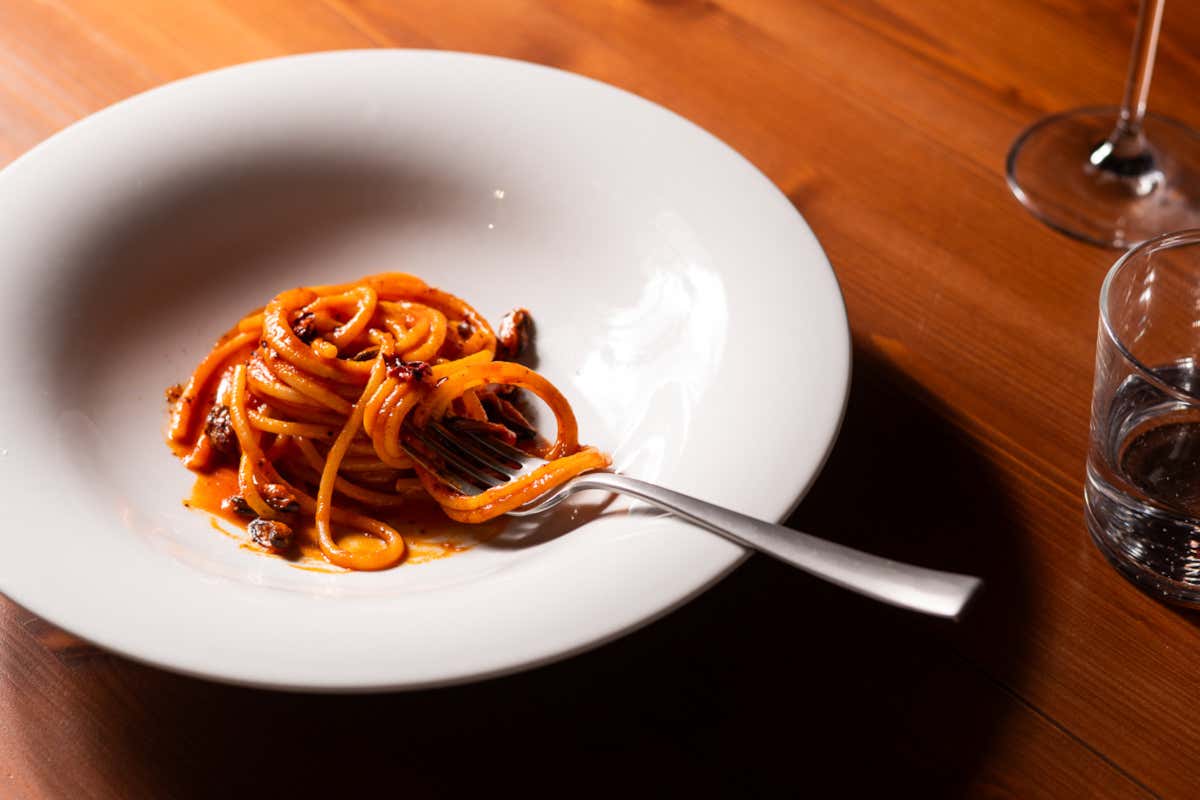 Dal cardoncello al risotto all’Acqua Fiuggi: ConTatto racconta l’inverno con il nuovo menu